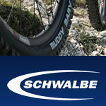 15. schwalbe.jpg